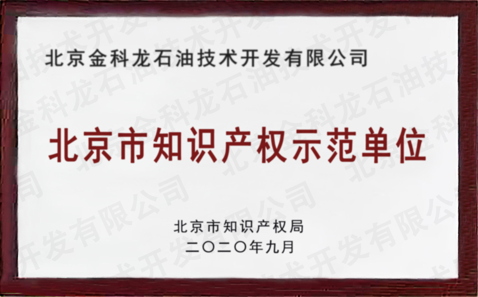 北京知识产权示范单位